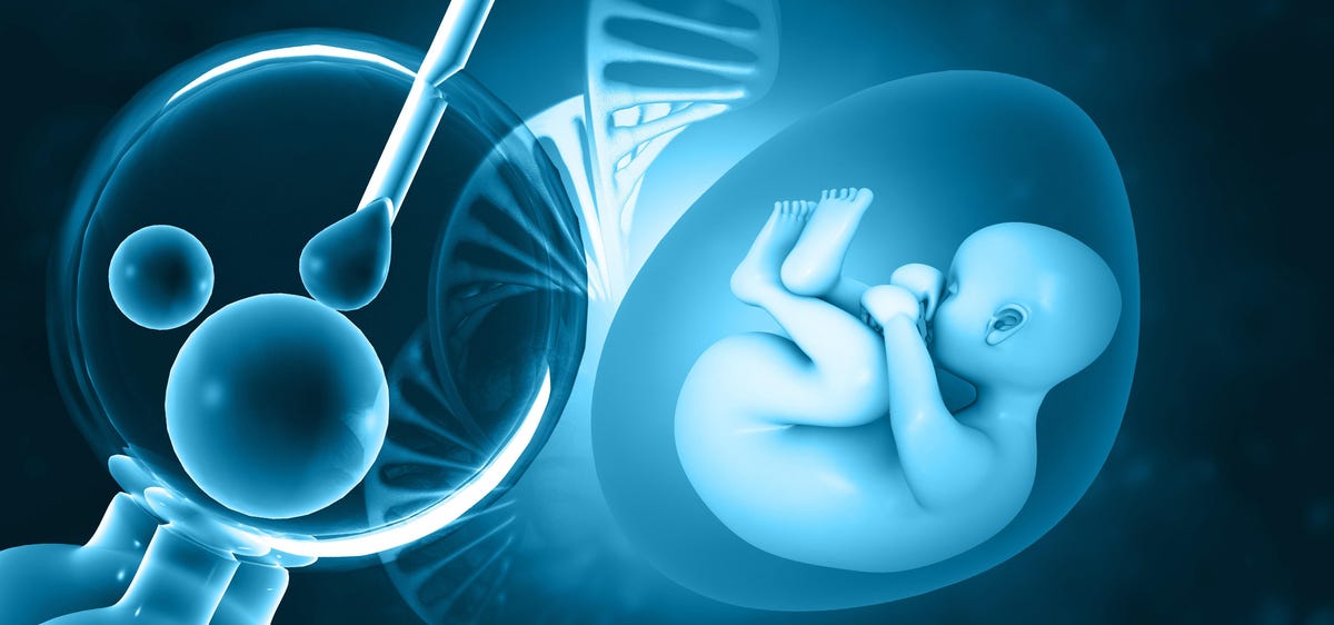 Luật tự nhi&ecirc;n v&agrave; phẩm gi&aacute; con người